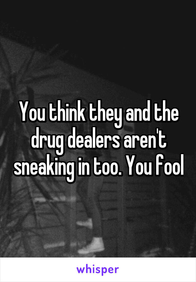 You think they and the drug dealers aren't sneaking in too. You fool