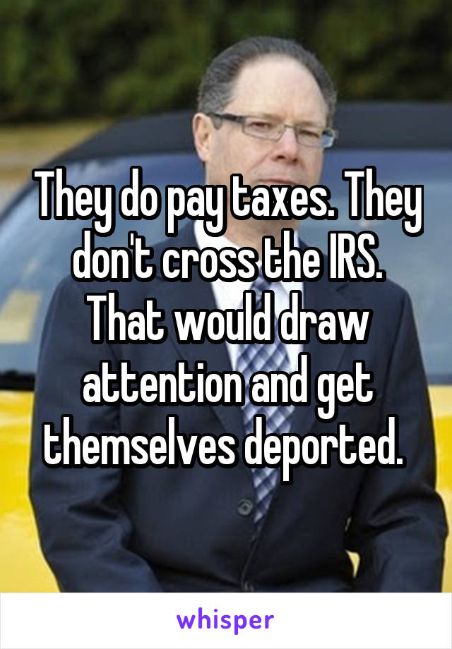 They do pay taxes. They don't cross the IRS. That would draw attention and get themselves deported. 