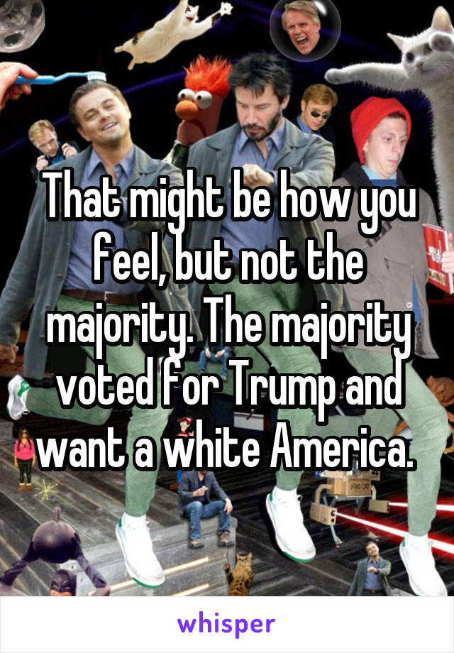 That might be how you feel, but not the majority. The majority voted for Trump and want a white America. 