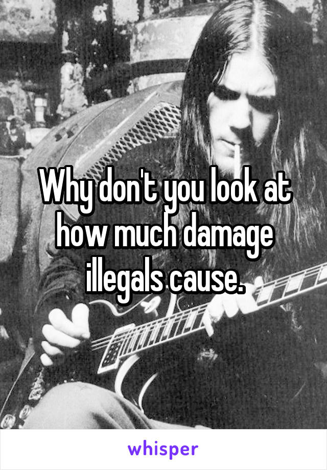 Why don't you look at how much damage illegals cause.