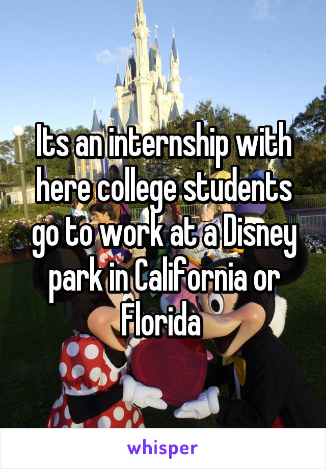 Its an internship with here college students go to work at a Disney park in California or Florida 