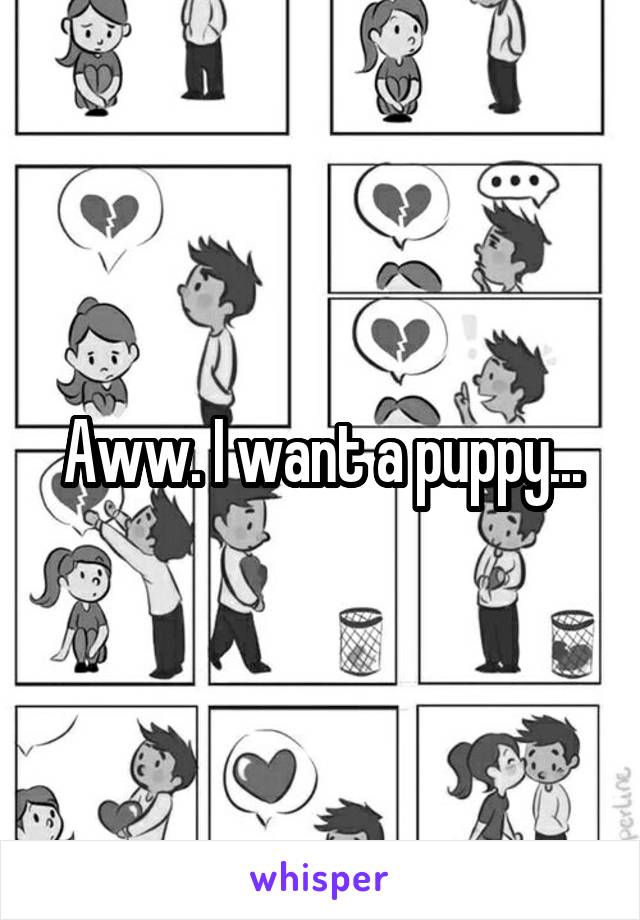 Aww. I want a puppy...