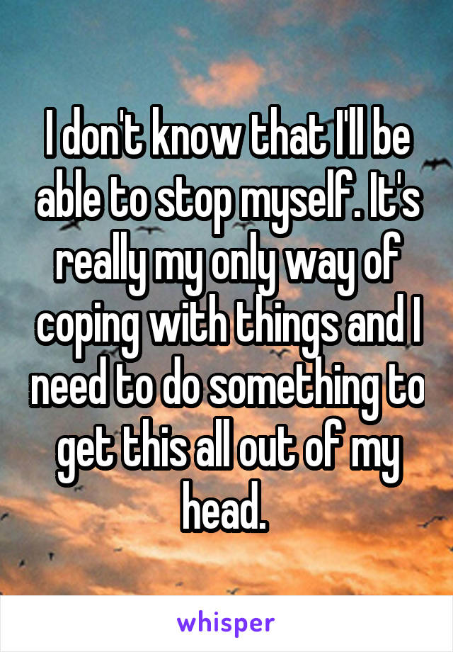 I don't know that I'll be able to stop myself. It's really my only way of coping with things and I need to do something to get this all out of my head. 