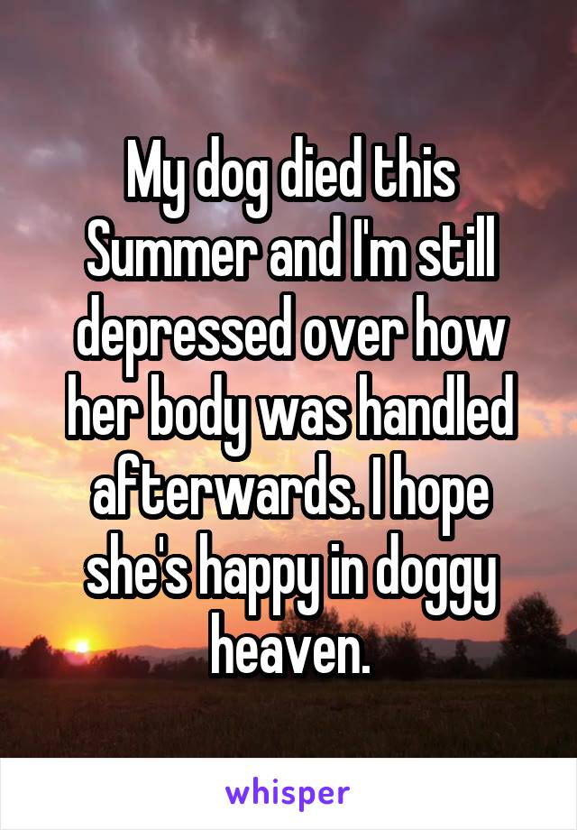 My dog died this Summer and I'm still depressed over how her body was handled afterwards. I hope she's happy in doggy heaven.