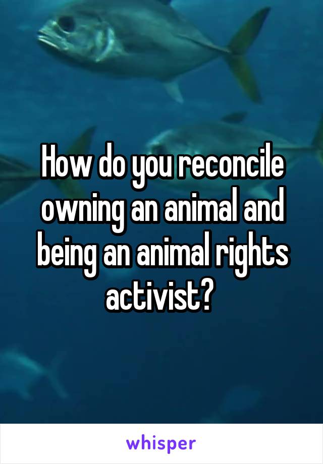 How do you reconcile owning an animal and being an animal rights activist? 