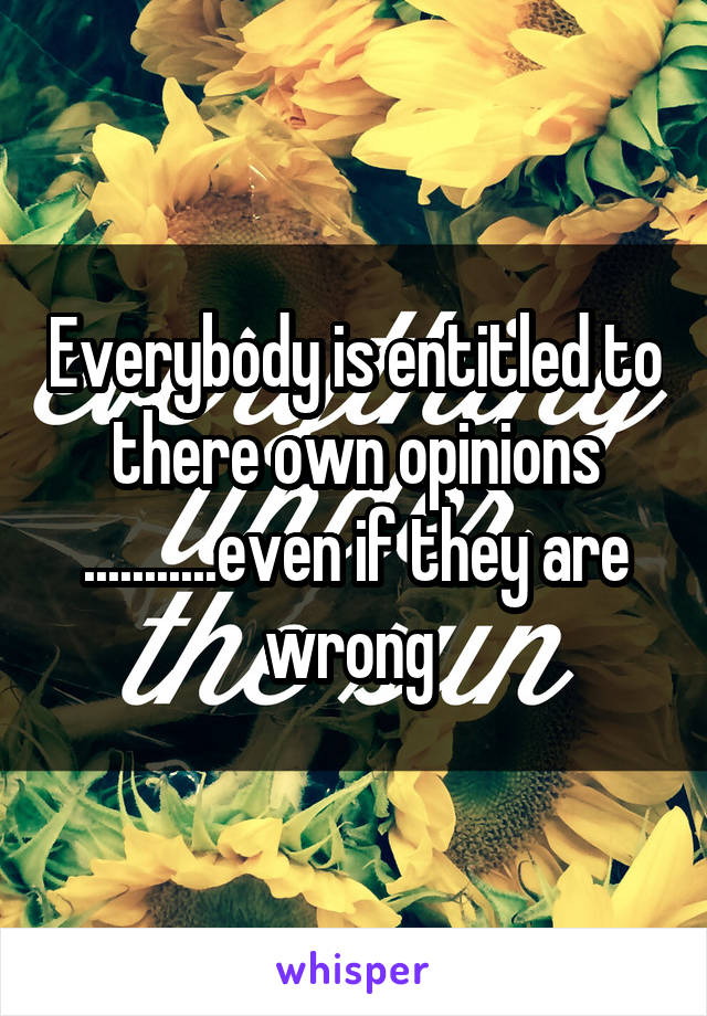 Everybody is entitled to there own opinions ...........even if they are wrong 