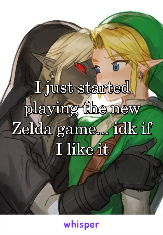 I just started playing the new Zelda game... idk if I like it