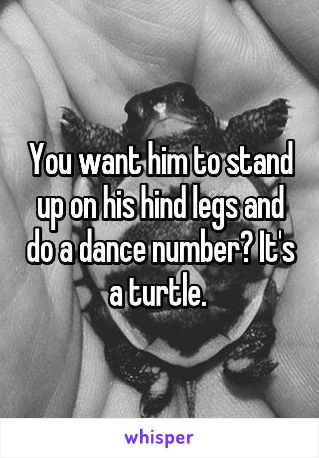You want him to stand up on his hind legs and do a dance number? It's a turtle. 