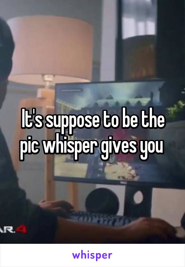 It's suppose to be the pic whisper gives you 