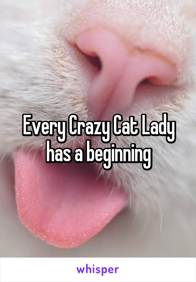 Every Crazy Cat Lady has a beginning