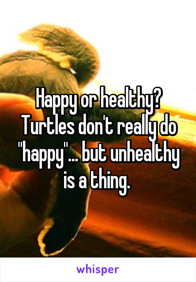 Happy or healthy? Turtles don't really do "happy"... but unhealthy is a thing. 