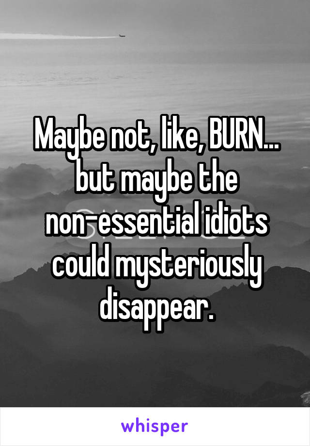 Maybe not, like, BURN... but maybe the non-essential idiots could mysteriously disappear.