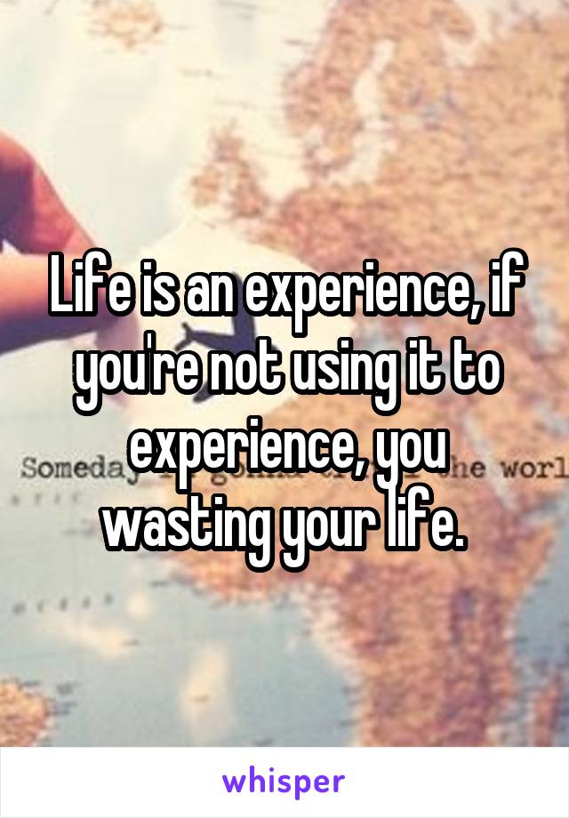 Life is an experience, if you're not using it to experience, you wasting your life. 