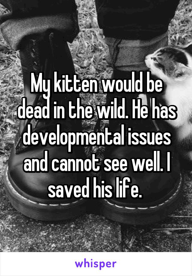 My kitten would be dead in the wild. He has developmental issues and cannot see well. I saved his life. 