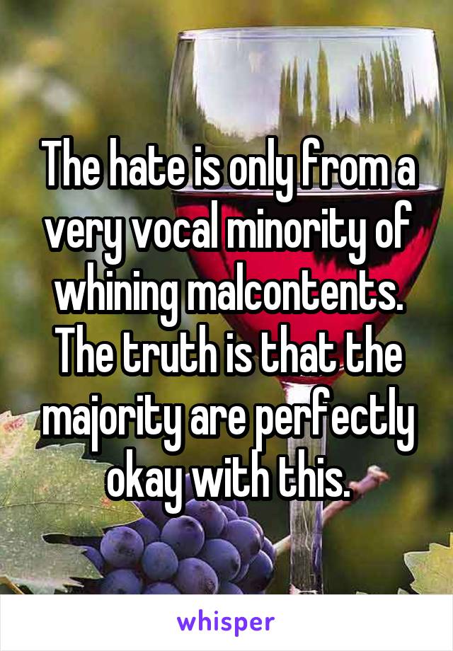 The hate is only from a very vocal minority of whining malcontents. The truth is that the majority are perfectly okay with this.