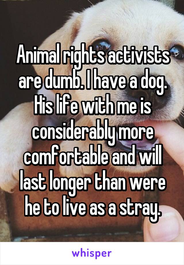 Animal rights activists are dumb. I have a dog. His life with me is considerably more comfortable and will last longer than were he to live as a stray.