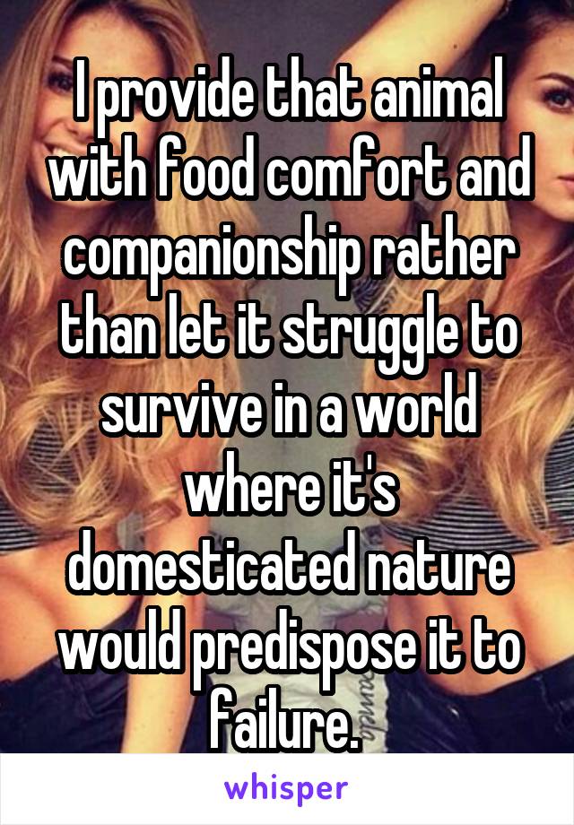 I provide that animal with food comfort and companionship rather than let it struggle to survive in a world where it's domesticated nature would predispose it to failure. 