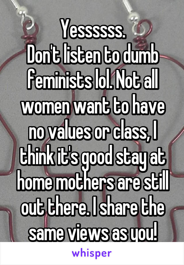 Yessssss.
Don't listen to dumb feminists lol. Not all women want to have no values or class, I think it's good stay at home mothers are still out there. I share the same views as you!