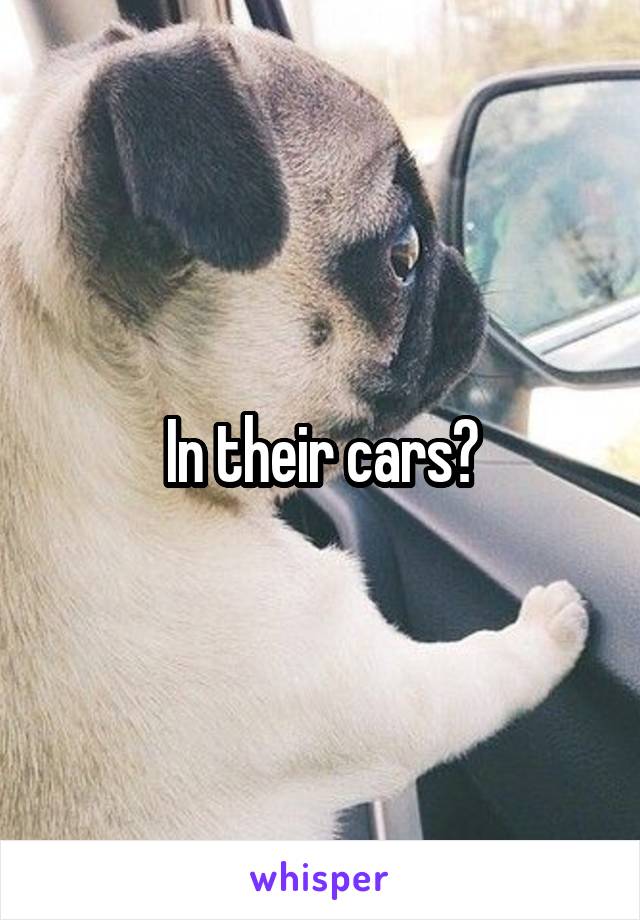 In their cars?