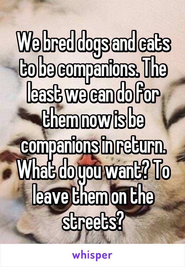 We bred dogs and cats to be companions. The least we can do for them now is be companions in return. What do you want? To leave them on the streets?