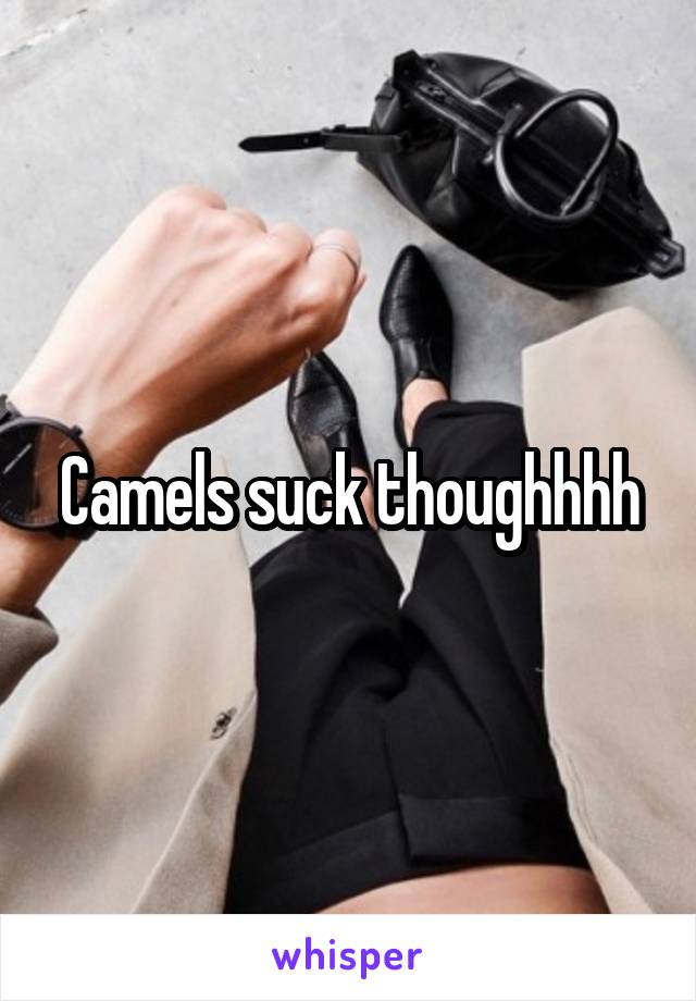 Camels suck thoughhhh