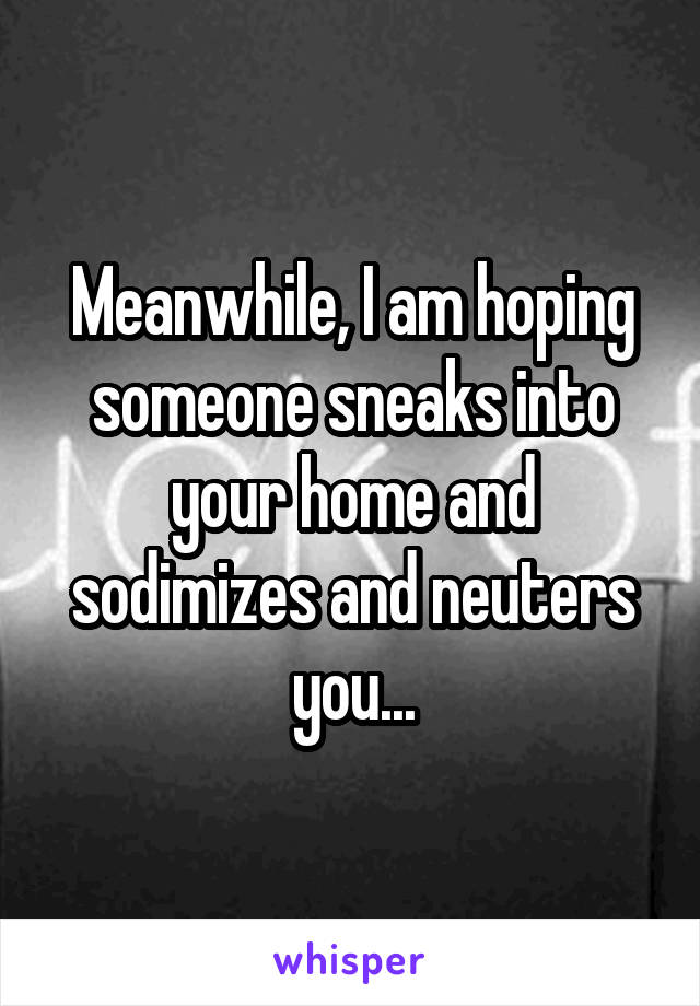 Meanwhile, I am hoping someone sneaks into your home and sodimizes and neuters you...