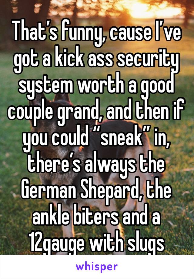 That’s funny, cause I’ve got a kick ass security system worth a good couple grand, and then if you could “sneak” in, there’s always the German Shepard, the ankle biters and a 12gauge with slugs