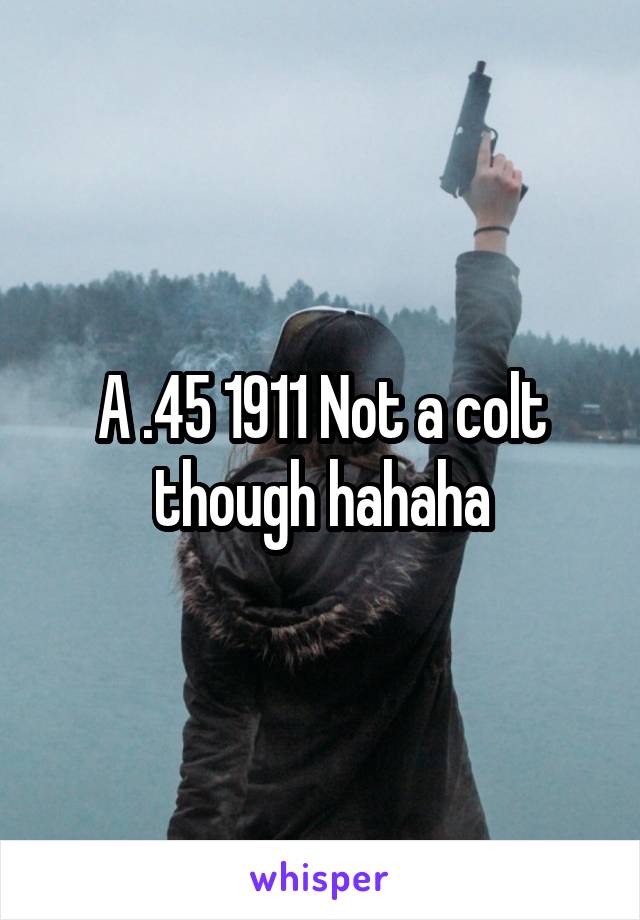 A .45 1911 Not a colt though hahaha