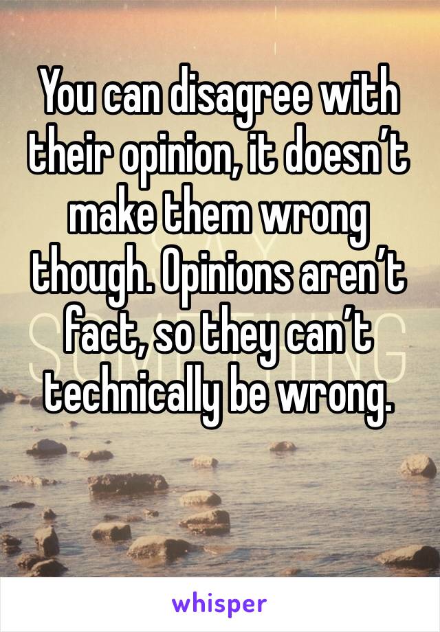 You can disagree with their opinion, it doesn’t make them wrong though. Opinions aren’t fact, so they can’t technically be wrong.