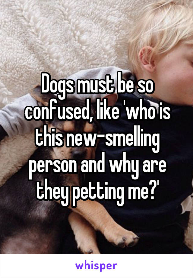 Dogs must be so confused, like 'who is this new-smelling person and why are they petting me?'