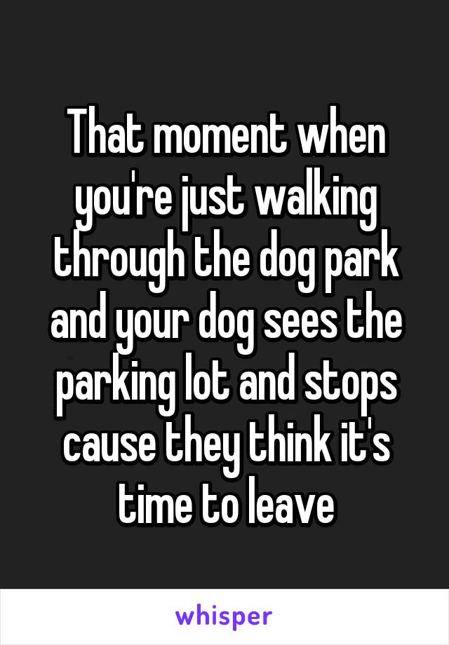 That moment when you're just walking through the dog park and your dog sees the parking lot and stops cause they think it's time to leave