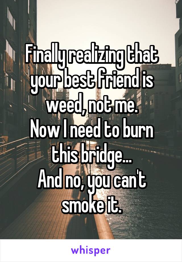 Finally realizing that your best friend is weed, not me.
Now I need to burn this bridge...
And no, you can't smoke it.