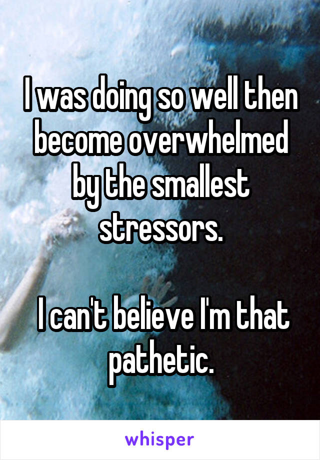 I was doing so well then become overwhelmed by the smallest stressors.

 I can't believe I'm that pathetic.