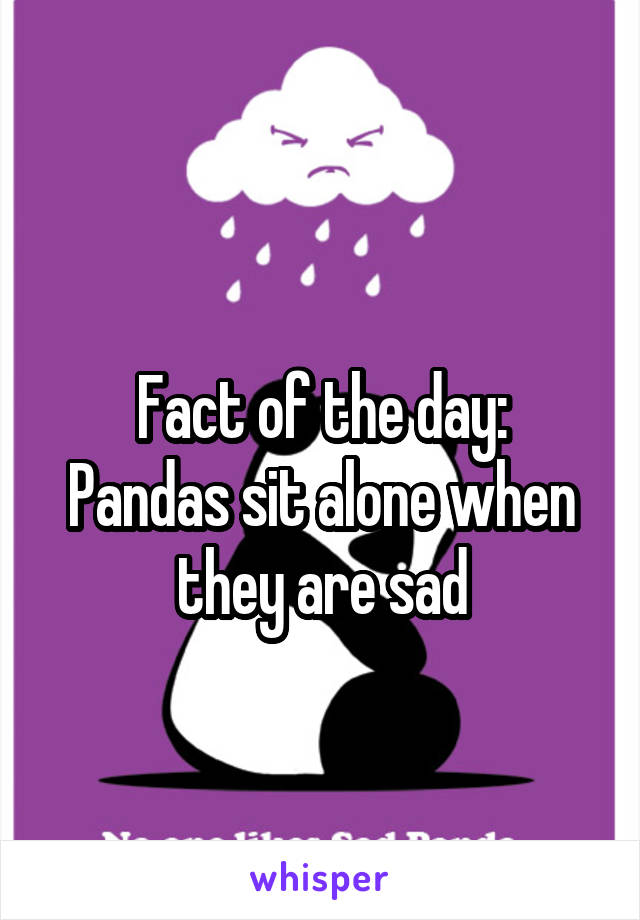 
Fact of the day:
Pandas sit alone when they are sad