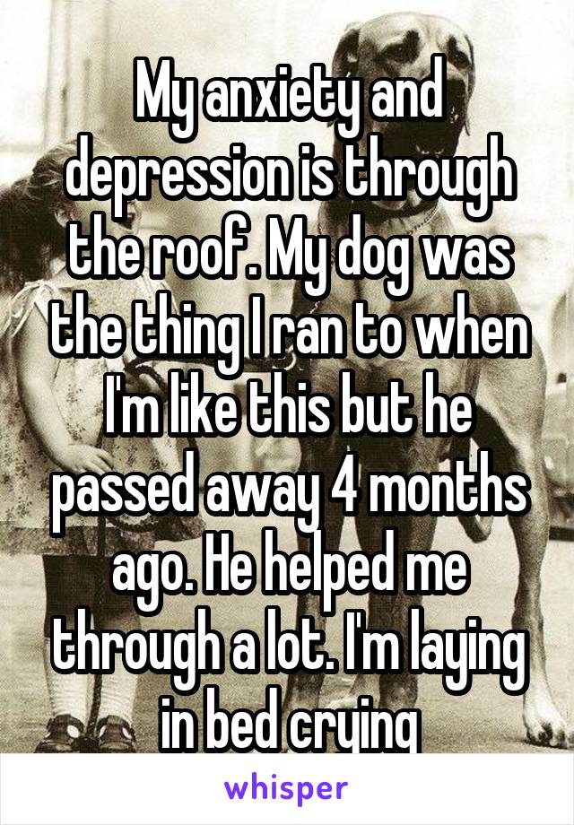 My anxiety and depression is through the roof. My dog was the thing I ran to when I'm like this but he passed away 4 months ago. He helped me through a lot. I'm laying in bed crying