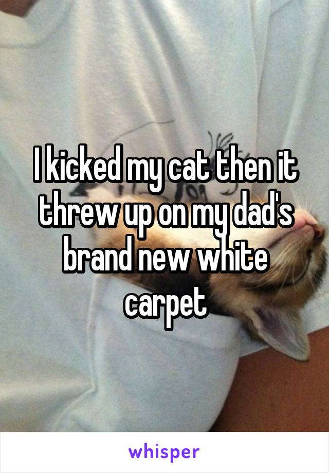 I kicked my cat then it threw up on my dad's brand new white carpet