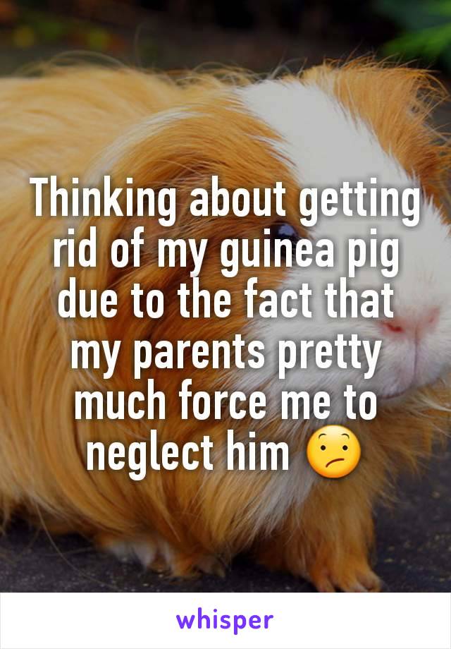 Thinking about getting rid of my guinea pig due to the fact that my parents pretty much force me to neglect him 😕