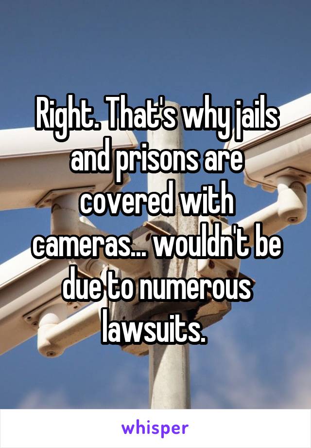 Right. That's why jails and prisons are covered with cameras... wouldn't be due to numerous lawsuits. 