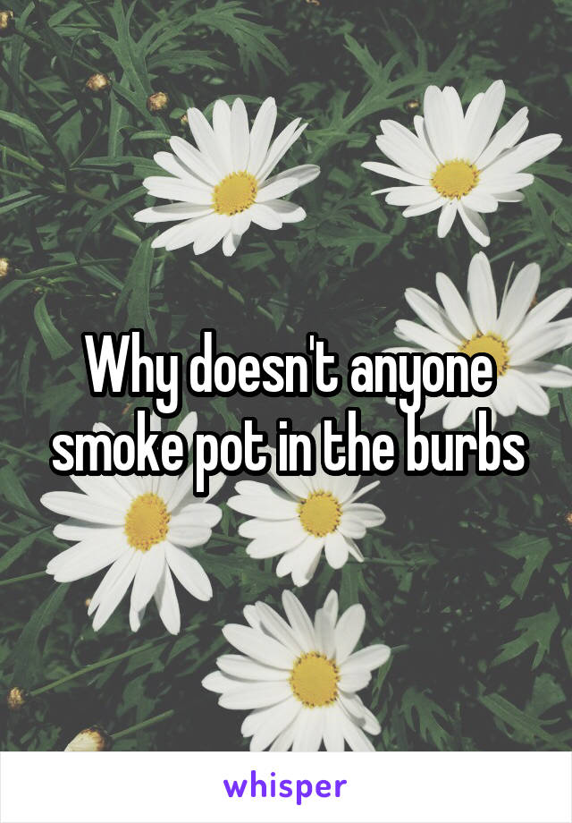Why doesn't anyone smoke pot in the burbs