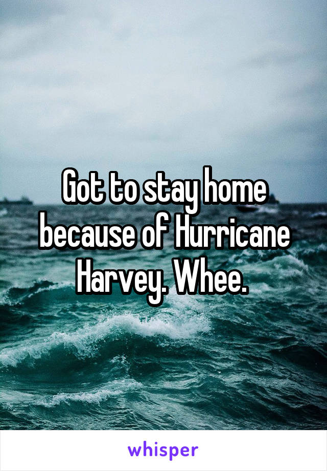 Got to stay home because of Hurricane Harvey. Whee. 