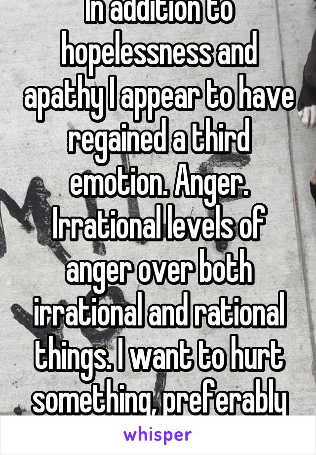 In addition to hopelessness and apathy I appear to have regained a third emotion. Anger. Irrational levels of anger over both irrational and rational things. I want to hurt something, preferably me. 