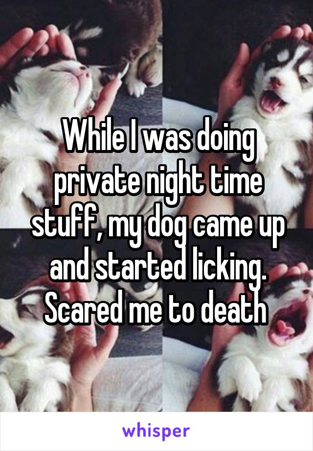 While I was doing private night time stuff, my dog came up and started licking. Scared me to death 