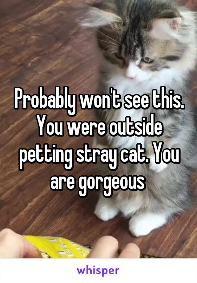 Probably won't see this. You were outside petting stray cat. You are gorgeous 