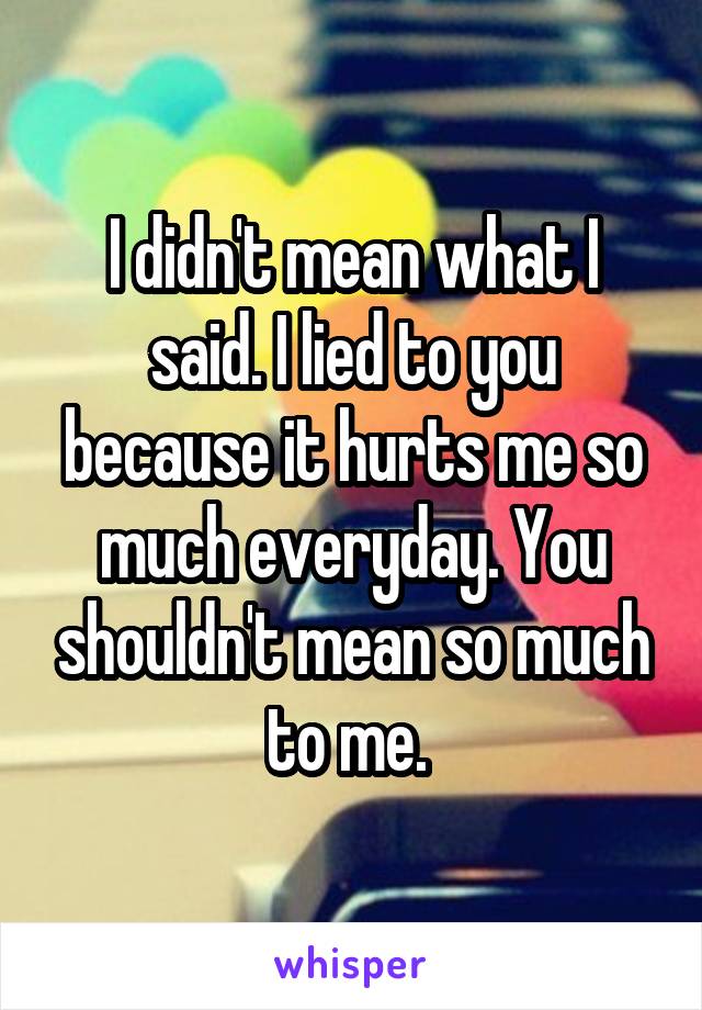 I didn't mean what I said. I lied to you because it hurts me so much everyday. You shouldn't mean so much to me. 