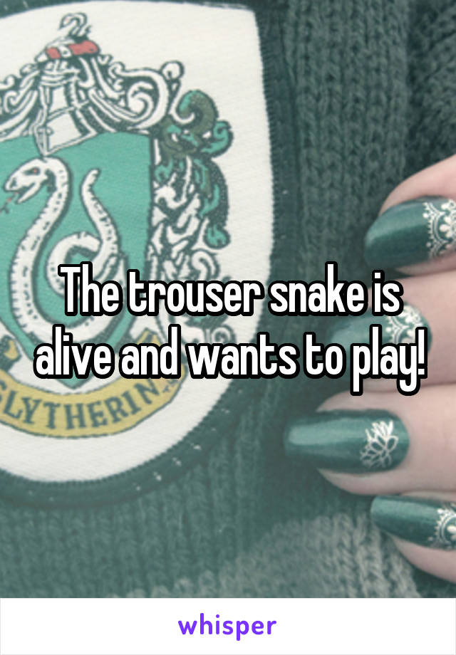 The trouser snake is alive and wants to play!