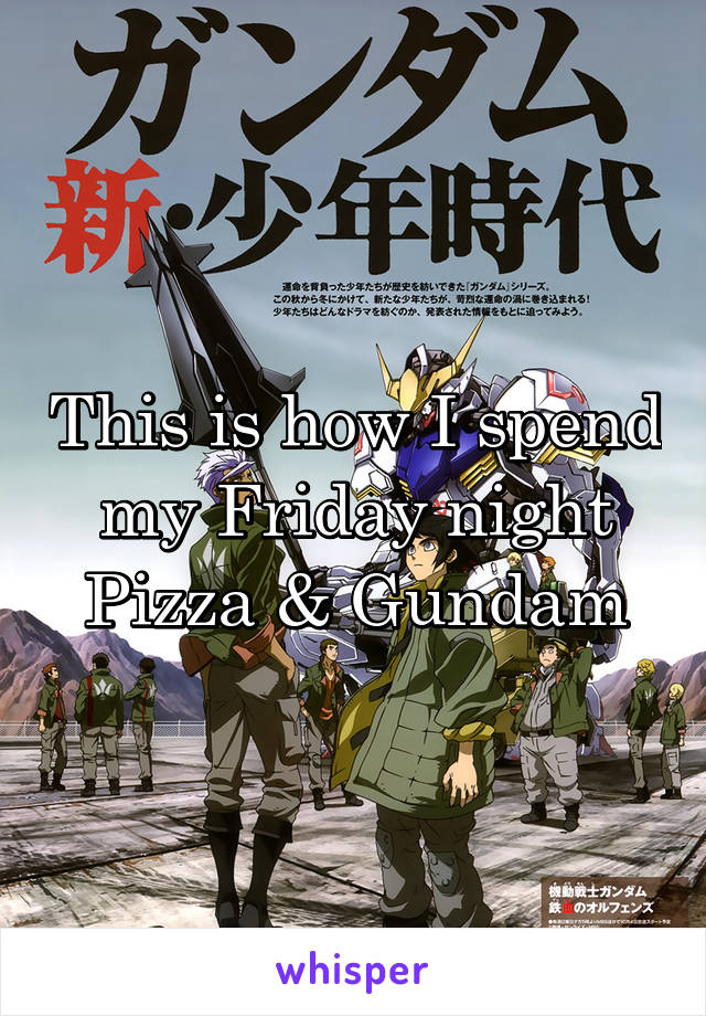 This is how I spend my Friday night
Pizza & Gundam