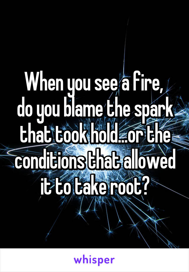 When you see a fire, 
do you blame the spark that took hold...or the conditions that allowed it to take root?