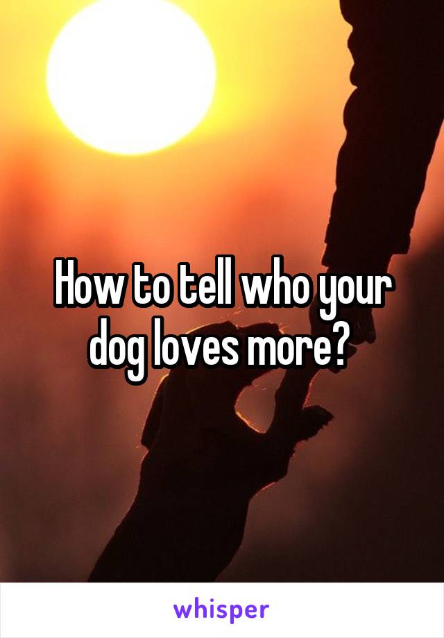 How to tell who your dog loves more? 