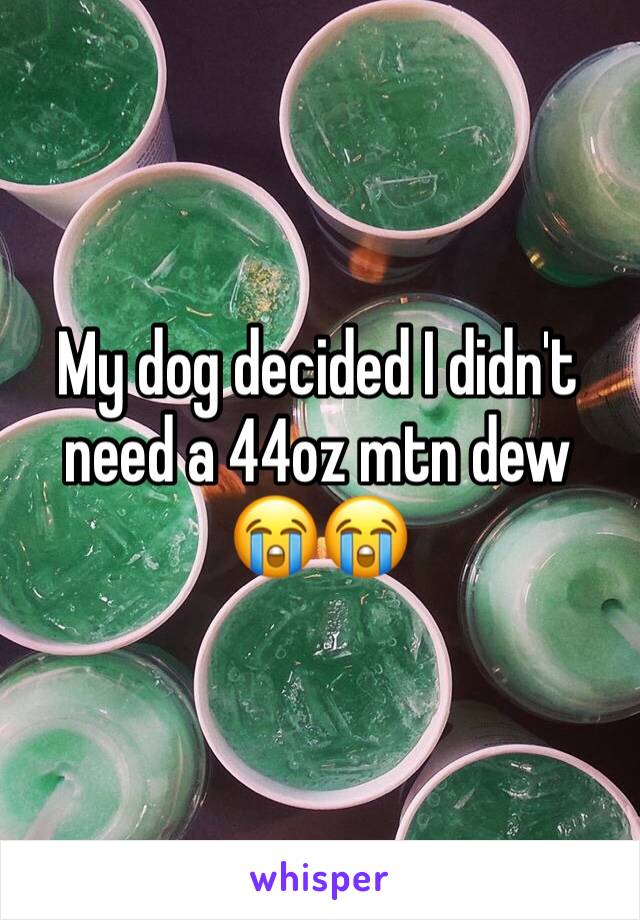 My dog decided I didn't need a 44oz mtn dew 😭😭