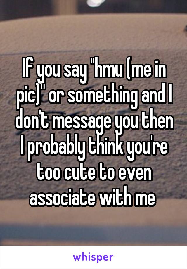 If you say "hmu (me in pic)" or something and I don't message you then I probably think you're too cute to even associate with me 